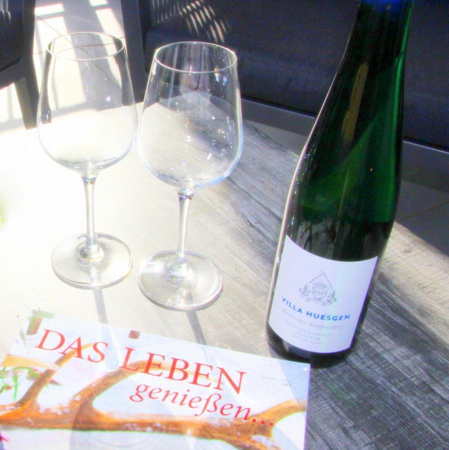 Mosel-Loggia - Luxusapartment -Terrass - Klimaanlage Traben-Trarbach Εξωτερικό φωτογραφία